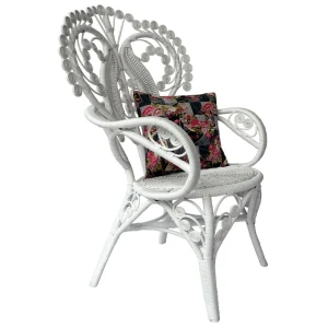 Rattan terrace arm chair