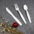 Import Boidegradable Disposable Cornstarch 7'' Tea Spoon from China