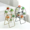Ferris wheel flower plate decoration rack