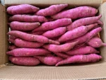 Sweet Potato