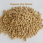 Non-GMO High Grade Good Quality Soy Beans Raw Soybean Grain Organic Bulk Soybeans Seeds For Food