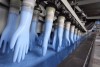 International Standard Good Quality Disposable Gloves Making Machine with efficient Production