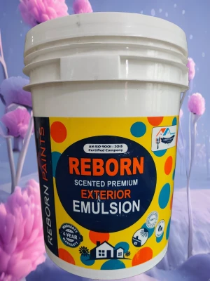 Reborn interior  & exterior silk emulsion