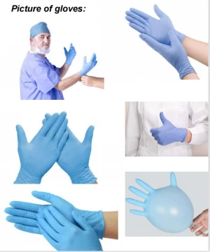 Disposable Nitrile Exam Gloves