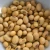 Import Non-GMO High Grade Good Quality Soy Beans Raw Soybean Grain Organic Bulk Soybeans Seeds For Food from Germany