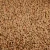 Import Premium Dried Brown Lentils Bulk Natural Food Trade Brown Lentils Clean Sorted Export Quality Supply from South Africa