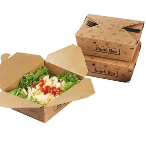 Salad Packaging Box