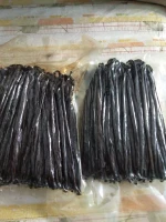Indonesia Vanilla Gourmet Grade A