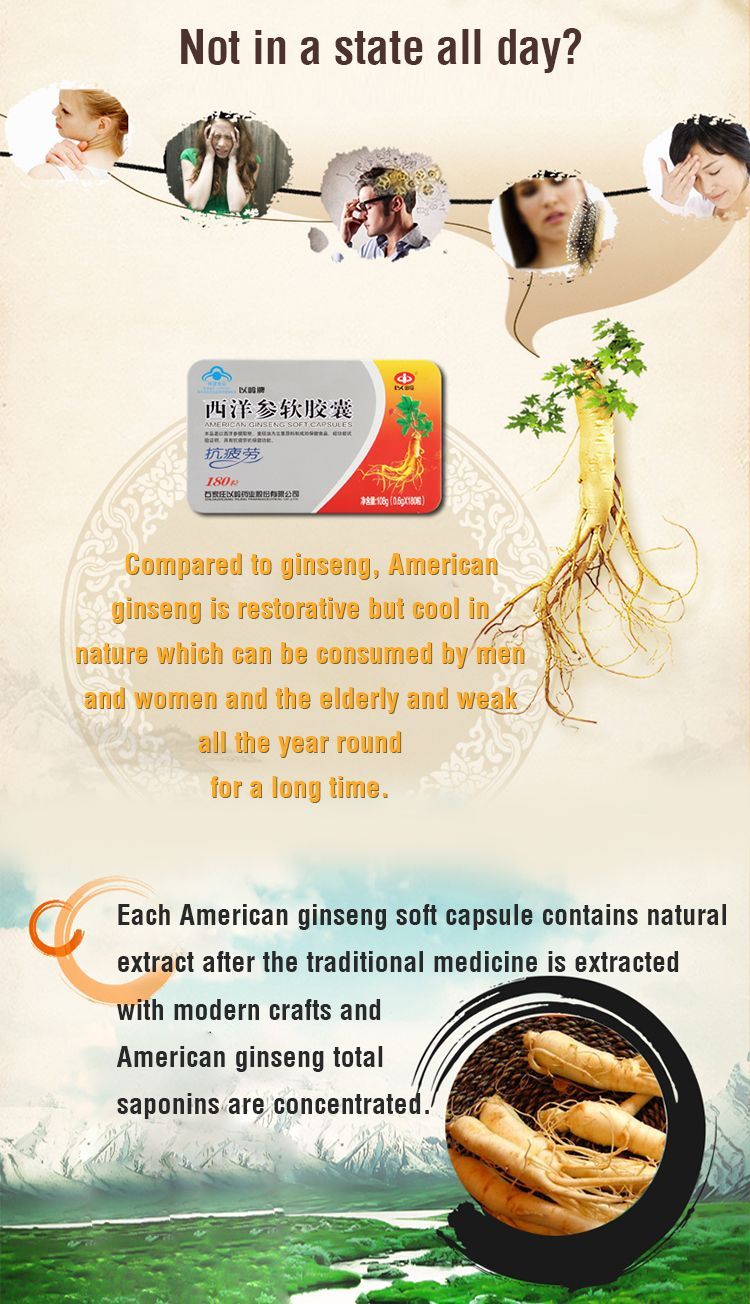 Buy Yiling Health Food American Ginseng Soft Capsules For Immunity ...
