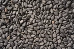 Hulled Black Sesame Oil Seeds