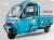 Import Electric Cargo Tricycle with 2 Seating Capacity and the big Luggage Truck from China