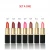 Import Cheap Custom No Label Long Lasting Lips Beauty Makeup Mini Lipstik Set from Hong Kong
