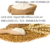 wheat flour high quality for all purpose