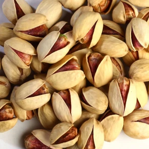 Kalle Ghouchi Jumbo Pistachio
