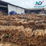 Split Cassia Cinnamon From Vietnam