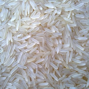 1121 Basmati Rice Sella/Golden/Creamy/Steam/Raw