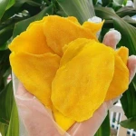 Hot Sale Dried Fruit Dried Mango Wholesale Natural Dried Fruit Sweet and Delicious