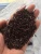 Import High quality Vietnam product Black rice - Healthy rice from Vietnam