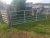 Import 100x200mm Galvanized metal tube 12 ft gates for sale from China