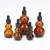 Import 10ml-100ml glass bottle with amber essential oil dropper from China