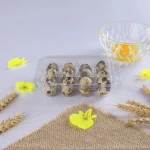 12cell pack clear disposable plastic quail egg tray