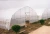 Import 15 years warranty 100%bayer reinforced cheap plastic agriculture single span tunnel greenhouse from China