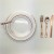 Import 150 Pieces Disposable Rose Gold Dinnerware Set from China