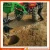 Import 1WX-40 Forestry Machinery Tractor Post Hole Auger, Tree Plantation/ Electric/Farm Hedges Economically Post Hole Digger from China