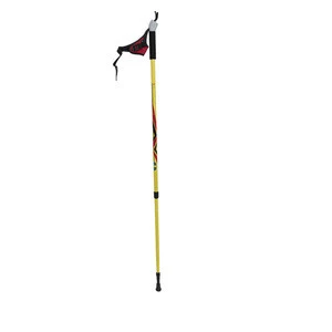 2-sections SKI pole with aluminium6061/7075 t6/carbon fiber,nordic walking pole,ski sticks