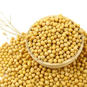High Quality Grade Non-GMO Soybeans For Sale