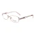 2021 Factory Promotion High Quality Metal Hinge Ladies Decorative Colored Tip Optical Glasses