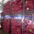 Import 2021 New Red Onion Round Shape Fresh Red Onion 3-7cm, 5-8cm, 9cm and up Vary Size Pack in Mesh Bag, Chinese Fresh Red Onion and Yellow Onion from China