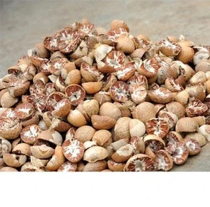 2112 Bing lang Natural Raw Dried Betel Nut Price