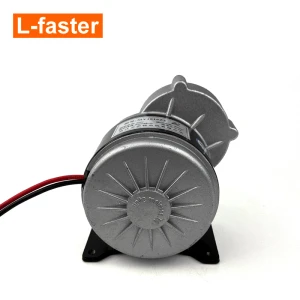 24V36V 250W Electric Brushed Motor With Gear Reductor For 1/2&quot;x1/8&quot; Bicycle Chain