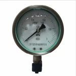 304 stainless steel thread M20*1.5 flange DN25 optional dial 150mm Shockproof pressure gauge