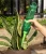Import 6pcs Auto Drip Irrigation Watering System Automatic Watering Spike from China