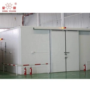 Air controlled cold storage room for fruit 3-6 months preservation