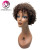 Import Angelbella Wholesale Short Kinky Curl Wig 8inch Brown Human Hair Wig Virgin Cuticle Aligned Hair Machine Made Wig from China