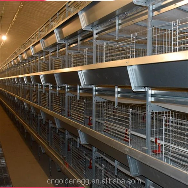 anti-corrosion stainless steel H frame poultry farm equipment chicken breeder cage for sale