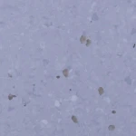 Anti-Slip PVC Vinyl Flooring 2mm Rolls Sheet Used Hospital Beds Room Bus Bathroom Plastic Carpet
