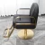 Import Antique Portable Black White Makeup Salon Styling Chairs With Headrest from China