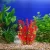 Import Artificial  Lifelike Colourful Aquatic Plant, Fish Tank Aquarium Decoration Ornament Plants from China