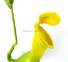 Artificial Plant Support Fake Yellow Nepenthes Monkey Cup Grass with 2016 New Design