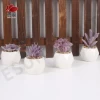 Artificial Succulents Plants Sets,white Geometric Ceramic Pot ES1258-13
