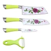As seen on TV kitchen knives set with ceramic peeler cleaver santoku fruit knife gift for promotion