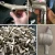 Auto loading rubber crawler belt type sand abrator / wheel blasting machine for small castings