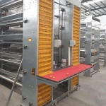 automatic A type chicken cages for poultry chicken cages