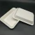 Import Bagasse Pulp Disposable Packaging Food Biodegradable Supermarket Meat Packaging Food Tray from China