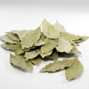 Bay Leaves-Laurel Leaves-Laurus Nobilis