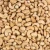 Import Best Quality Certified Cashews Nuts from South Africa